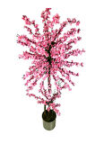 Atom Pembe Bahar Dalı 180 Cm 25x25 Metal Saksı