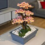 Atlas Bonsai-2 Masaüstü Kullanıma Uygun Doğal Ağaç Gövdeli Yapay Bonsai Ağacı - 50x60 Cm