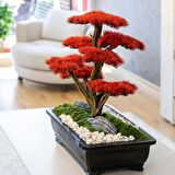 Atlas Bonsai-3-1 Masaüstü Kullanıma Uygun Doğal Ağaç Gövdeli Yapay Bonsai Ağacı - 50x60 Cm
