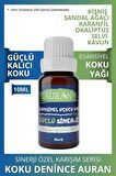 Güçlü Sinerji İyileştirici Sinerji Karışım Esansiyel Uçucu Yağ Buhurdanlık Yağı Aromaterapi Difüzör