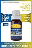 Bolluk Enerjisi Sinerji Karışım Esansiyel Uçucu Yağ Buhurdanlık Yağı Aromaterapi Difüzör