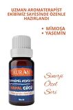 Hayal Gücü - Farkındalık Sinerji Karışım Esansiyel Uçucu Yağ Buhurdanlık Yağı Aromaterapi Difüzör
