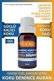 Stres Düşmanı Sinerji Karışım Esansiyel Uçucu Yağ Buhurdanlık Yağı Aromaterapi Difüzör