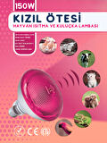(5 Adet) 150W Kızılötesi (infrared) Isıtıcılı Hayvan Isıtma ve Kuluçka Lambası (Kırmızı Işık) E27 (Kalın Duy)