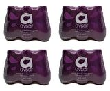 Avşar Karadut Frenk Üzümü Aromalı Maden Suyu 200 Ml X 24 Adet