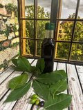 DEFNE YAĞI (El Yapımı) 250 ML