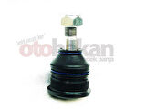 AYD 01427 Alt Rotil Primera P10 P11 90-01 Sağ-Sol Ayd-01575 401604M400