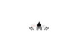AYD 10776 Alt Rotil Tata Xenon 289732100131-PART