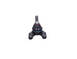 AYD 11094 Rotil Ranger 06- 1454901