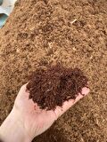 60 - 65 Litre Sıkıştırılmış Hindistan Cevizi Torfu - 4 - 5 Kg Blok İthal Organik Cocopeat Kokopit - Fidancı - Sıkıştırılmış Cocopeat - Çiçek, Bitki, Saksı Toprağı