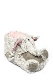 Twigy Rr0530Z Tw Elephant Gri Kadın Panduf