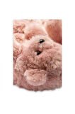 Twigy Aa0663 Z Tw Teddy Gül Kurusu Kadın Panduf