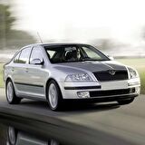 Gkl Skoda Octavia A5 2005-2008 Kapı Içi Ikaz Lambası Camı 1J0947411E