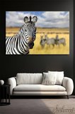 Yatay Tekli Kanvas Duvar Tablosu Modern Salon Mutfak Yatak Odası Ofis Zebra Afrika Kenya Hayvan