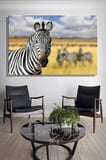 Yatay Tekli Kanvas Duvar Tablosu Modern Salon Mutfak Yatak Odası Ofis Zebra Afrika Kenya Hayvan