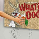 Monnhein Kedi Köpek Komik Tasarımlı Dekoratif Kapı önü Paspas, Dış Mekan/Ev İçi/Banyo/Mutfak/Yatak Odası/Giriş Paspasları