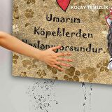 Monnhein Kedi Köpek Komik Tasarımlı Dekoratif Kapı önü Paspas, Dış Mekan/Ev İçi/Banyo/Mutfak/Yatak Odası/Giriş Paspasları
