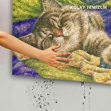 Monnhein Kedi Köpek Komik Tasarımlı Dekoratif Kapı önü Paspas, Dış Mekan/Ev İçi/Banyo/Mutfak/Yatak Odası/Giriş Paspasları