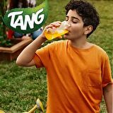 TANG TOZ İÇEÇEK MEYVE SUYU 375 GR X2 ADET