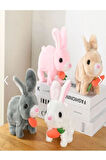 Sesli Pilli Zıplayan Hareketli Havuçlu Peluş Tavşan 18x17 Cm 1 ADET,