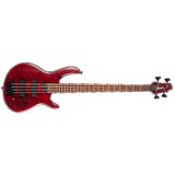 CORT B4 ELEMENT OPBR
