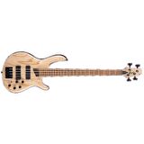 CORT B4 ELEMENT OPN