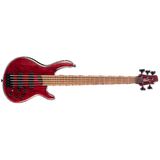 CORT B5 ELEMENT OPBR
