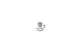 MOTORLU TESTERE PİSTON SEGMAN STIHL MS250/025 42.5 MM ORJİNAL