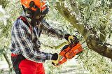 Echo Cs 2511 Wes Motorlu Testere 1,5hp