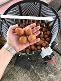 Kadıoğlu Sabit Devir Ceviz Soyma Makinası Pratiko 80 Litre