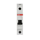 ABB - 2CDS211001R0204 Otomatik Sigorta SH201-C20 Tipi