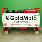 GoldMoto GM16BJH Marşlı Monofaze 16 Kva Benzinli Jeneratör ZENTRA-GM16BJH