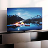 WE. SEE OLED 4K Smart TV 55" zentrasee55