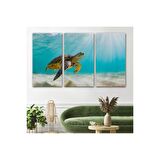 Caretta Caretta Dekoratif Kanvas Tablo 1174