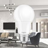 BA13-01423- 14W 6500K BEYAZ IŞIK E27 A65 LED AMPUL 3 LÜ PAKET