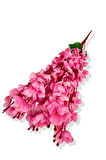 Pembe Bahardalı Demet 60 Cm