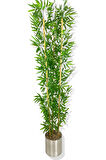 YAPAY YAPRAKLI BAMBU AĞACI 3 BAMBU'LU 190 CM 25X25 GALVANİZ SAKSI