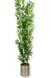 YAPAY YAPRAKLI BAMBU AĞACI 3 BAMBU'LU 190 CM 25X25 GALVANİZ SAKSI