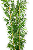 YAPAY YAPRAKLI BAMBU AĞACI 3 BAMBU'LU 190 CM 25X25 GALVANİZ SAKSI