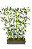 Bambu Seperatör 175 Cm 7 Adet Bambu 100 Cm Antrasit Saksı