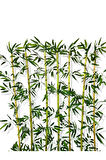 Bambu Seperatör 175 Cm 7 Adet Bambu 100 Cm Antrasit Saksı