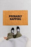 Probably Napping Paspas
