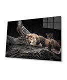 Aslan Cam Tablo
