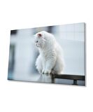 Beyaz Kedi Cam Tablo