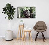 Koala Cam Tablo 4mm Dayanıklı Temperli Cam