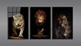Aslan,Kaplan,Jaguar 3 lü Set  Cam Tablo