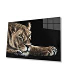  Aslan Hayvan Cam Tablo 4mm Dayanıklı Temperli Cam