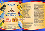 Beautiful Food Ballı Yumurtalı Kuş Maması Kuş Yemi 5 KG
