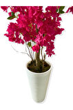 YAPAY AĞAÇ FUŞYA BEGONVİL 190 CM 56X30X20 BEYAZ KUMSAL SAKSI