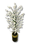 Beyaz Bahar Dalı 200 Cm 30x25 Gold Kemerli Siyah Saksı